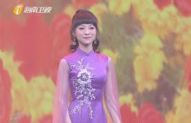 海南卫视播出2024中国明星春节联欢晚会